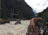 虎跳峡旅游攻略——探寻重庆自然之美